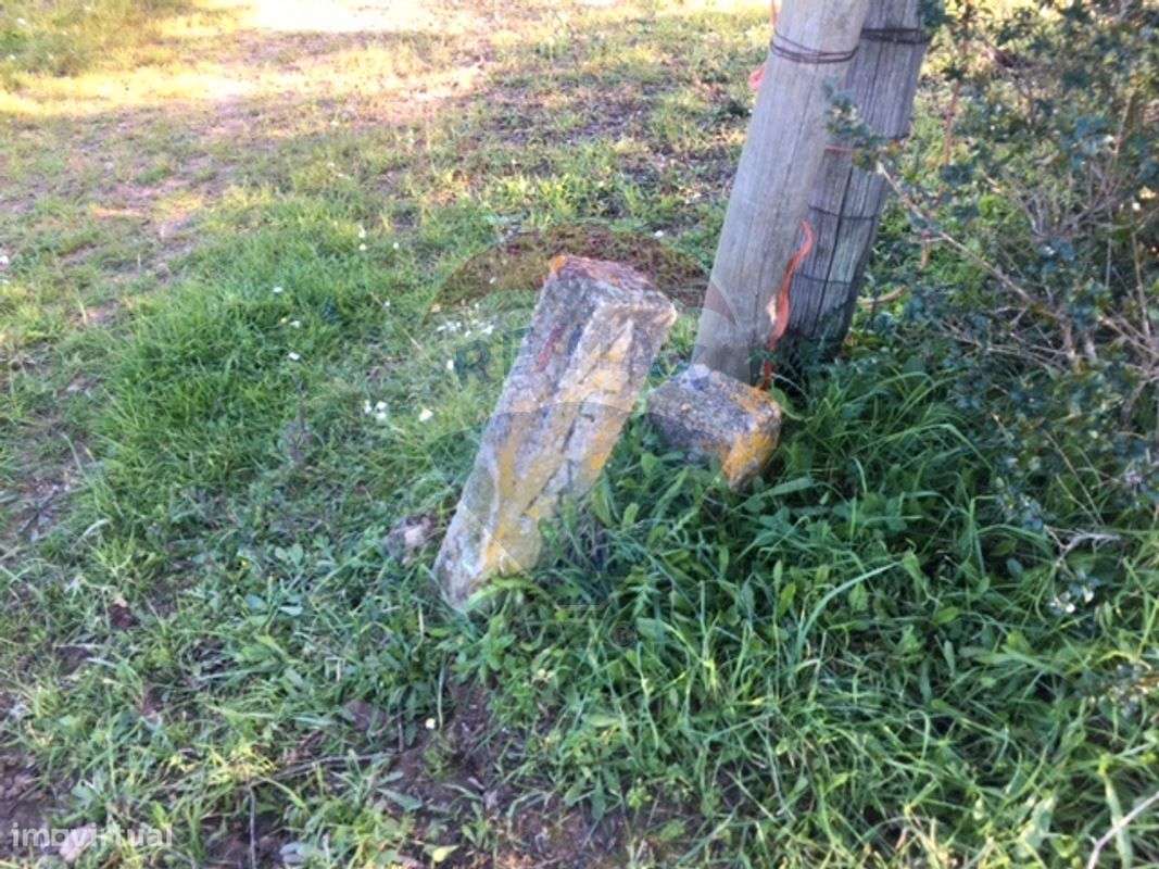 Terreno  para venda - Grande imagem: 4/14