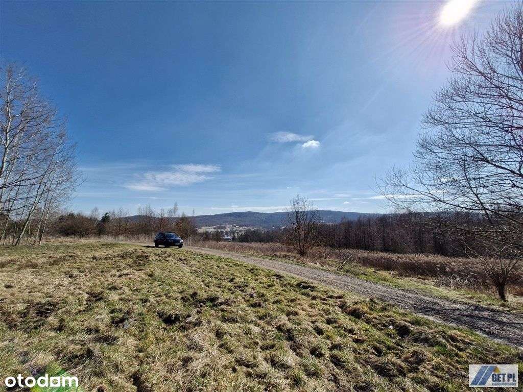 Urocza działka rolna przy drodze gminnej