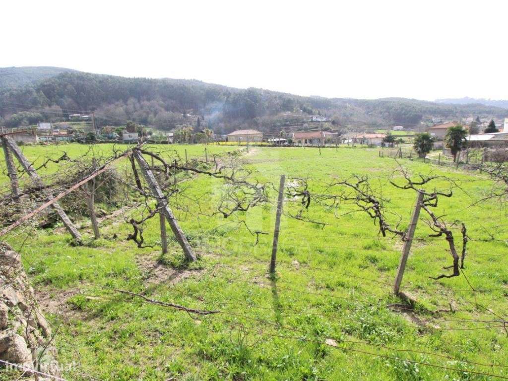 Venda Terreno com possibilidade de Lotear, em S. Mamede (Este), Braga-35