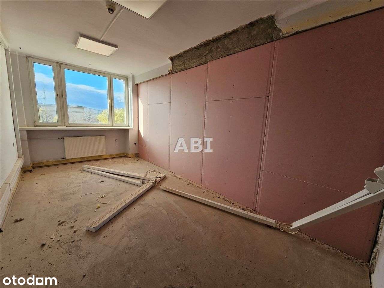 Kawalerki Francuska/Wojewódzka-6