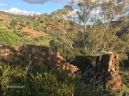 Ruína para recuperar com vista de campo, Stª Catarina, Algarve - Miniatura: 9/18