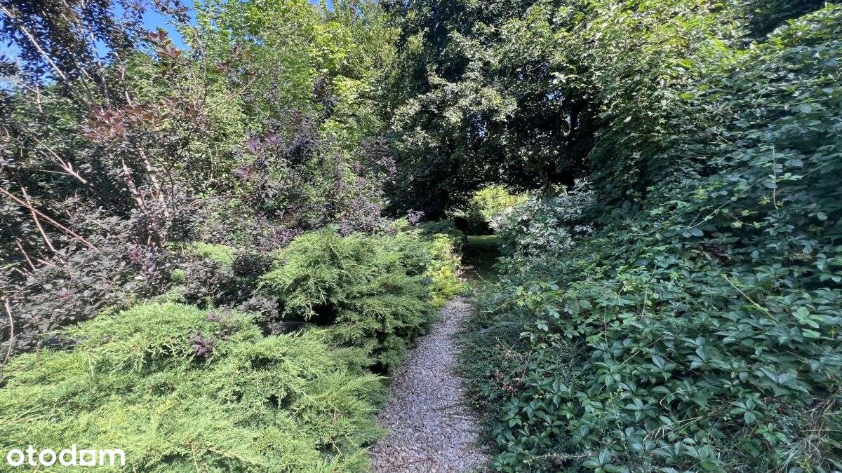 Inwestycyjna działka w Sierczy 39 ar, Pum 1000 m²-10