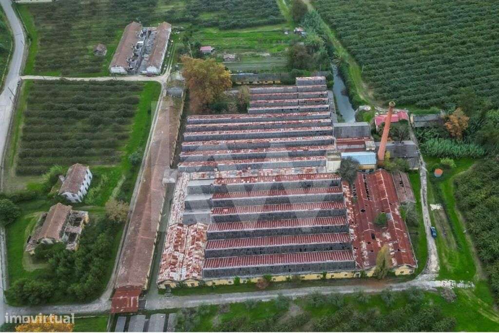 Excepcional Terreno Agrícola com Plantio Ativo de Kiwis, Sistema de Re - Grande imagem: 2/14