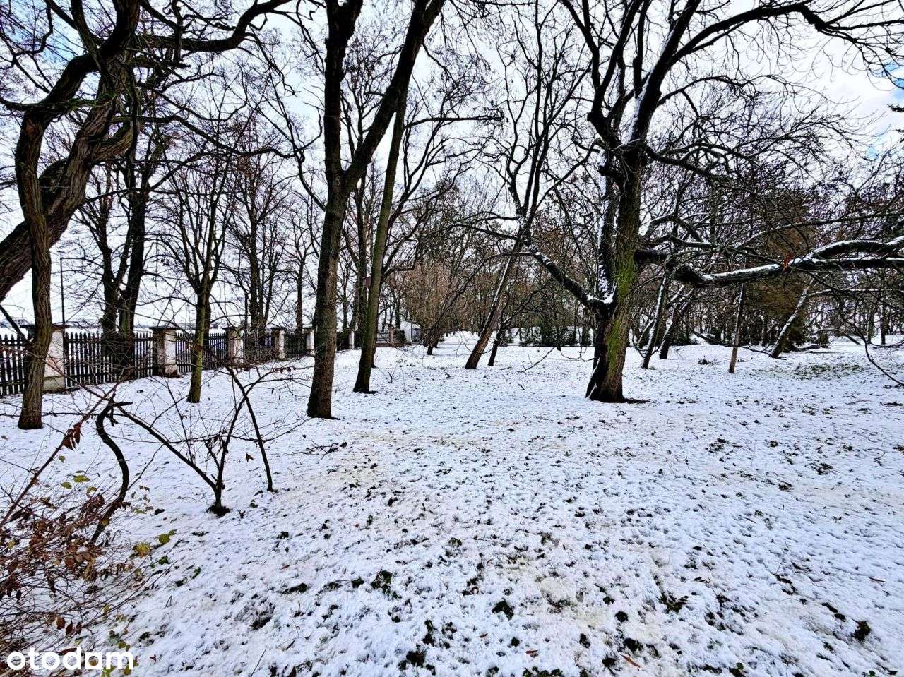 Przestronne 2 Pok w Zielonej Enklawie | Ogródek-13