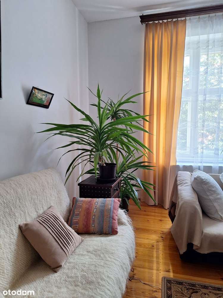 Mieszkanie, 78 m², Wrocław-10