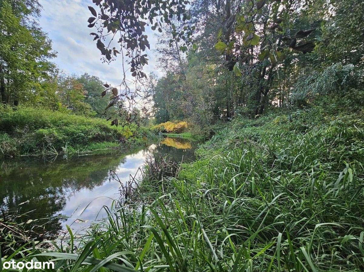 Działka, 9 200 m², Trzcianka - Pełny obrazek: 5/7