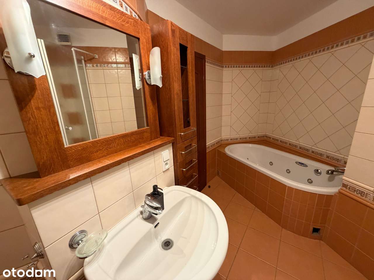 Przestronny,wyremontowany apartament w sercu Jeżyc,2 miejsca postojowe-13