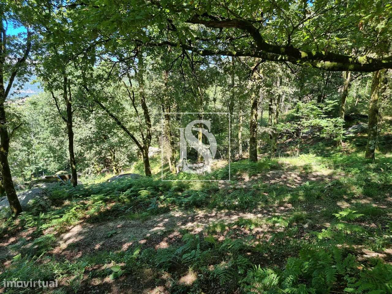 Terreno  Venda em Ventosa e Cova,Vieira do Minho - Grande imagem: 3/30