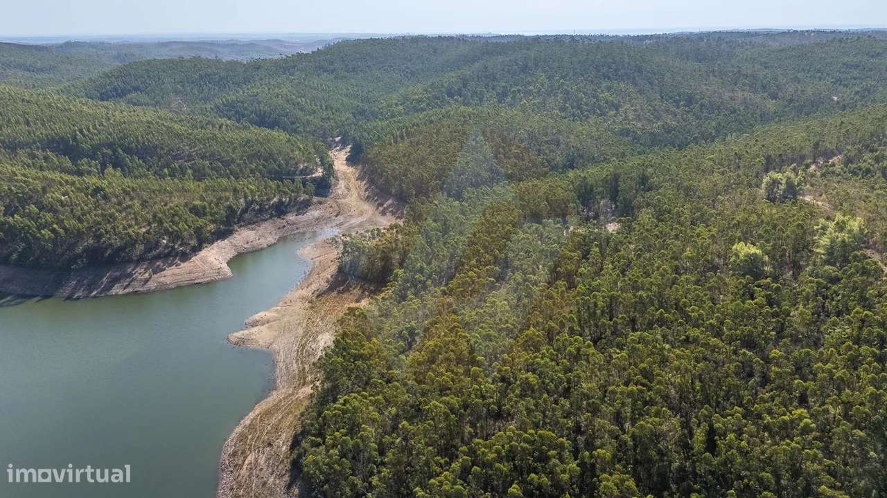 Herdade Torre do Guena - Grande imagem: 5/31