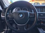 BMW 520 d 130g - 24