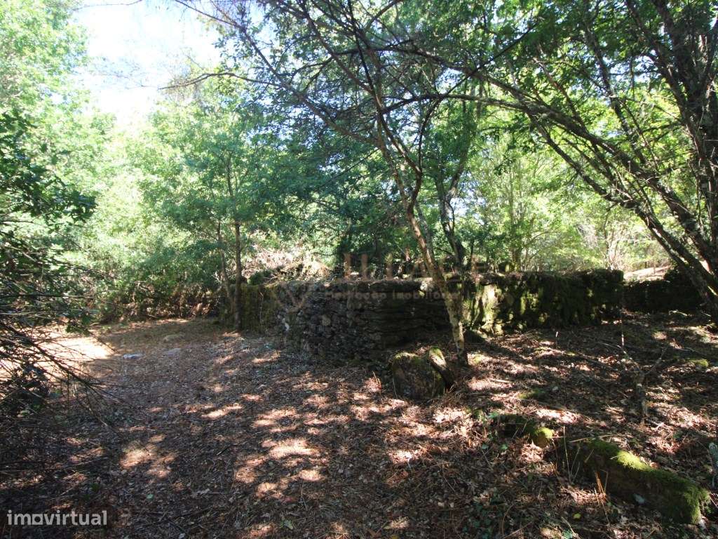 MORADIA-5