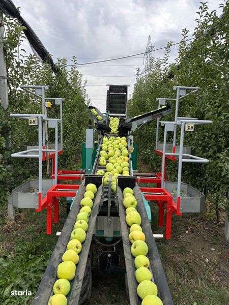 Livada MERI  de vanzare - Imagine principală: 5/6