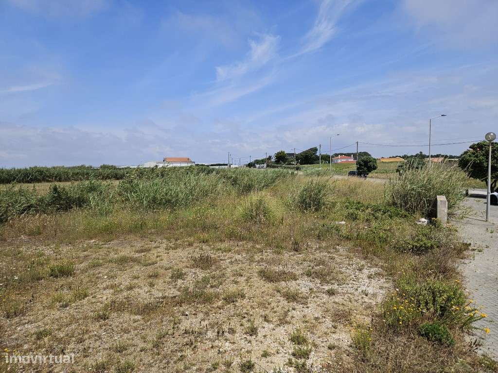 Lotes a apenas 800 metros da praia - Grande imagem: 5/16