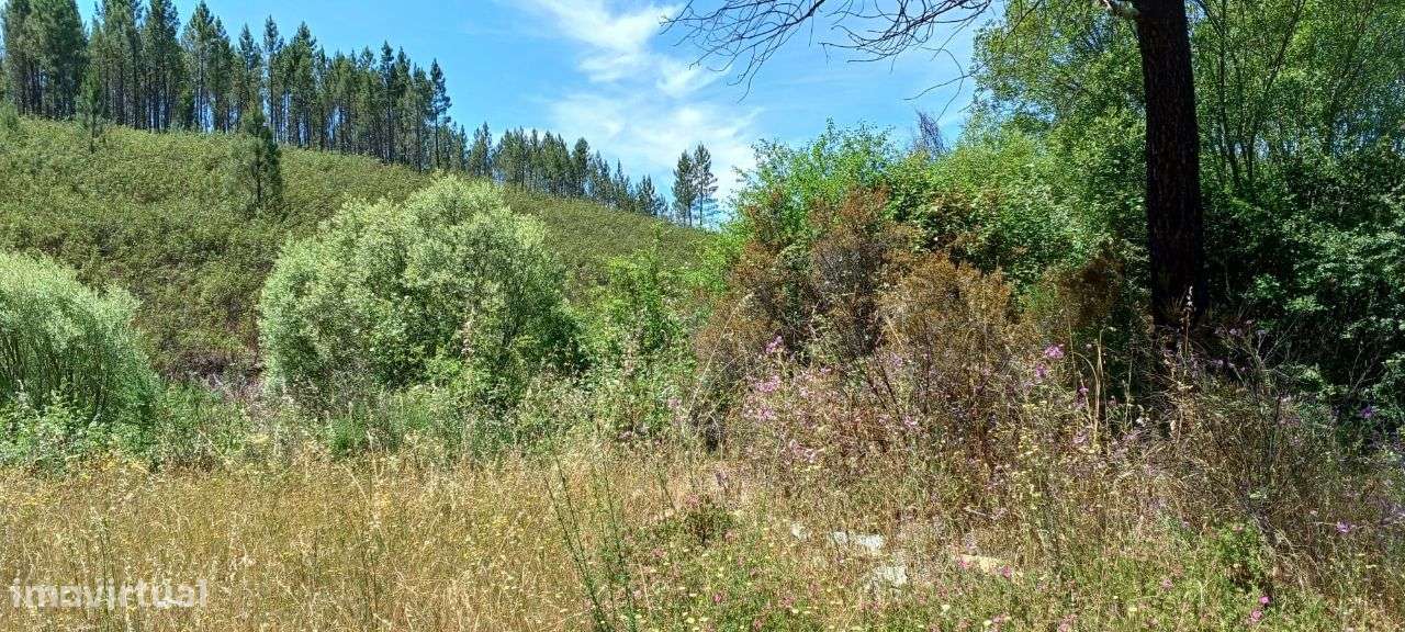 Terreno - Grande imagem: 4/4