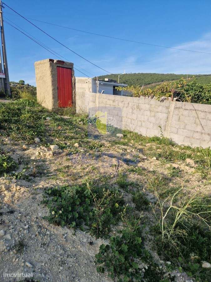 Terreno Vialonga - Grande imagem: 3/35