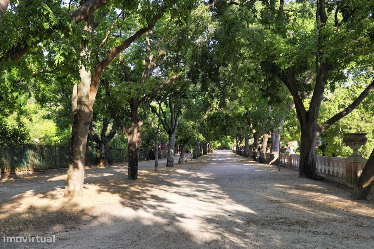 Apartamento T1 na Estrela-25