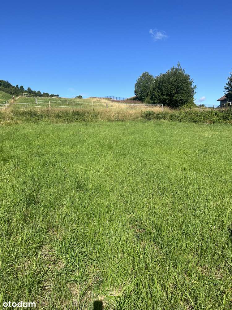 Działka budowlana 1847 m² przy drodze - Radziechowy, ul. Wajdowa - Pełny obrazek: 5/6