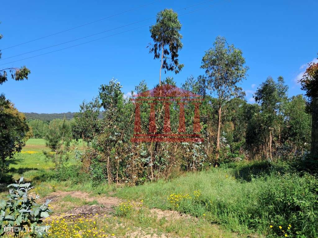 TERRENO PARA CONSTRUÇÃO - MARTIM - BARCELOS-4