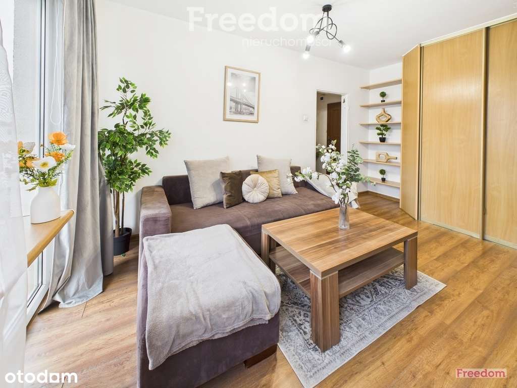 Kawalerka podzielona na salon i sypialnię- Północ - Pełny obrazek: 2/14