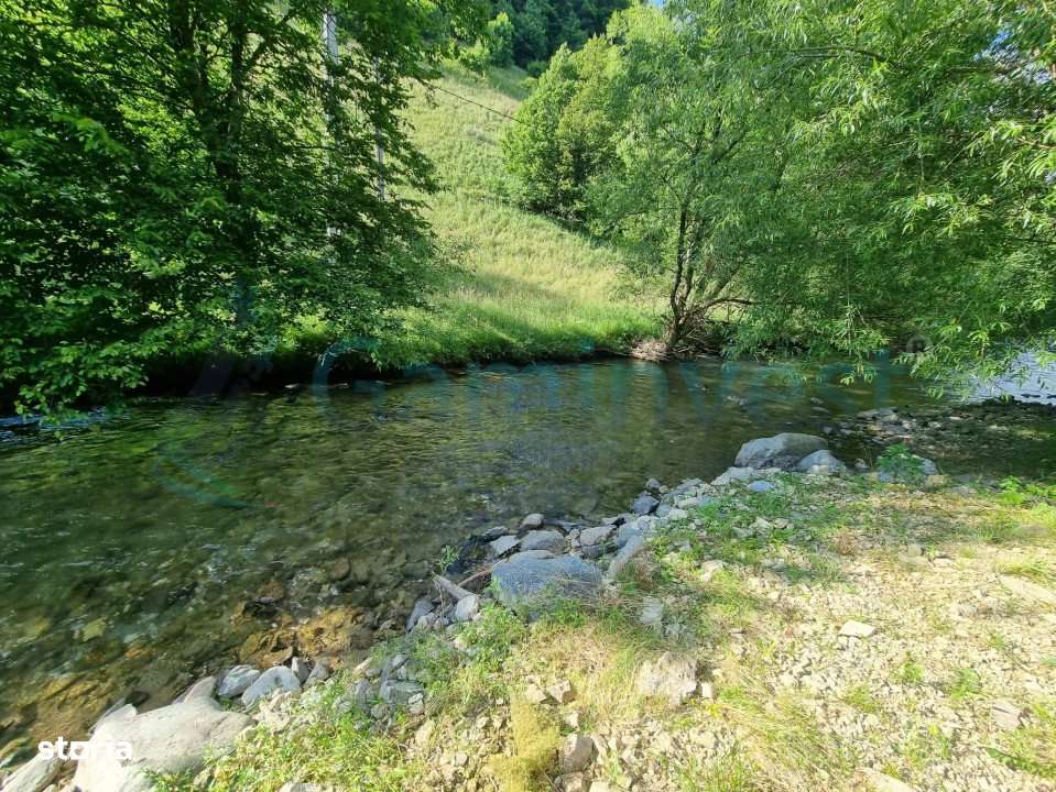 GAMINVEST Teren intravilan 1700 mp in Remeti, Bihor V4336 - Imagine principală: 5/8