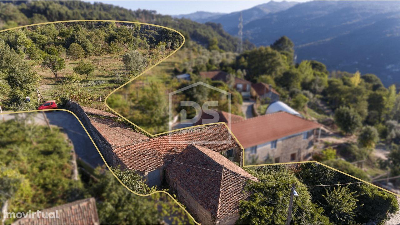 Moradia para Restaurar T3 Venda em Oliveira do Douro,Cinfães