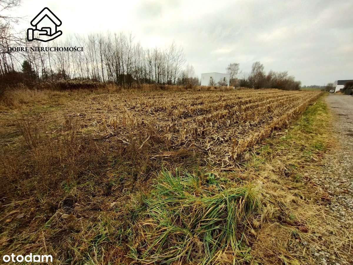 Budowlana 0,17ha przed obwodnicą Płouszowice Kol.-5