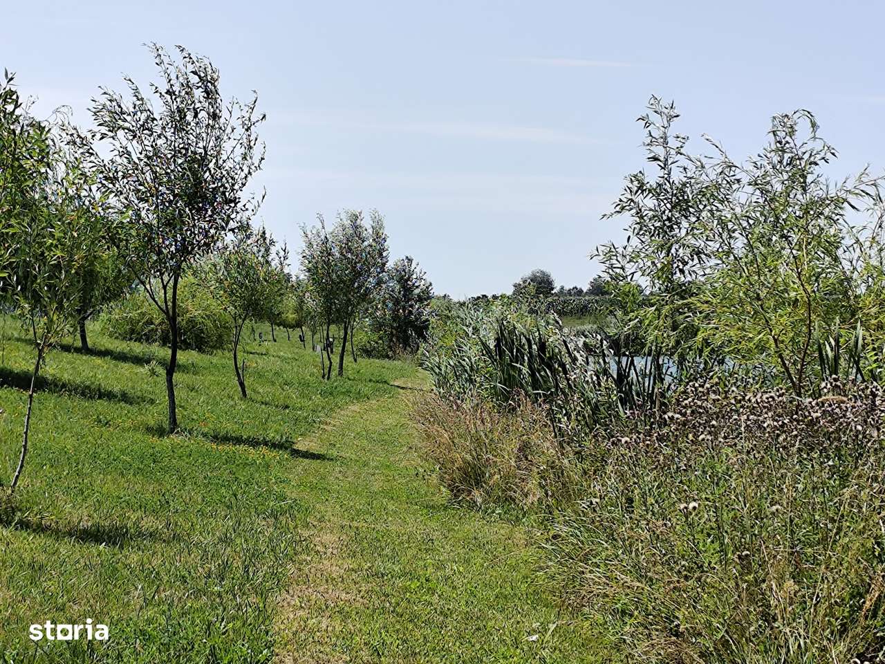 Balta de Pescuit & Cabana din Busteni – Refugiu de Vis langa Oradea-17