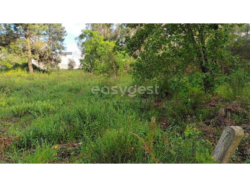 Terreno Rústico com possibilidade de construção em Touria Pousos - Grande imagem: 5/13