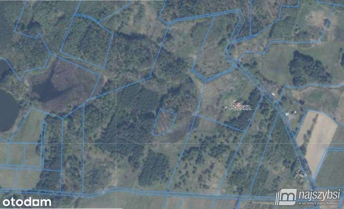 Nowogard-Działka Rolna 10,41 Ha - Pełny obrazek: 3/3
