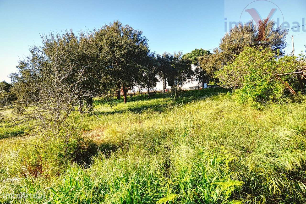 Quinta em Melides-24