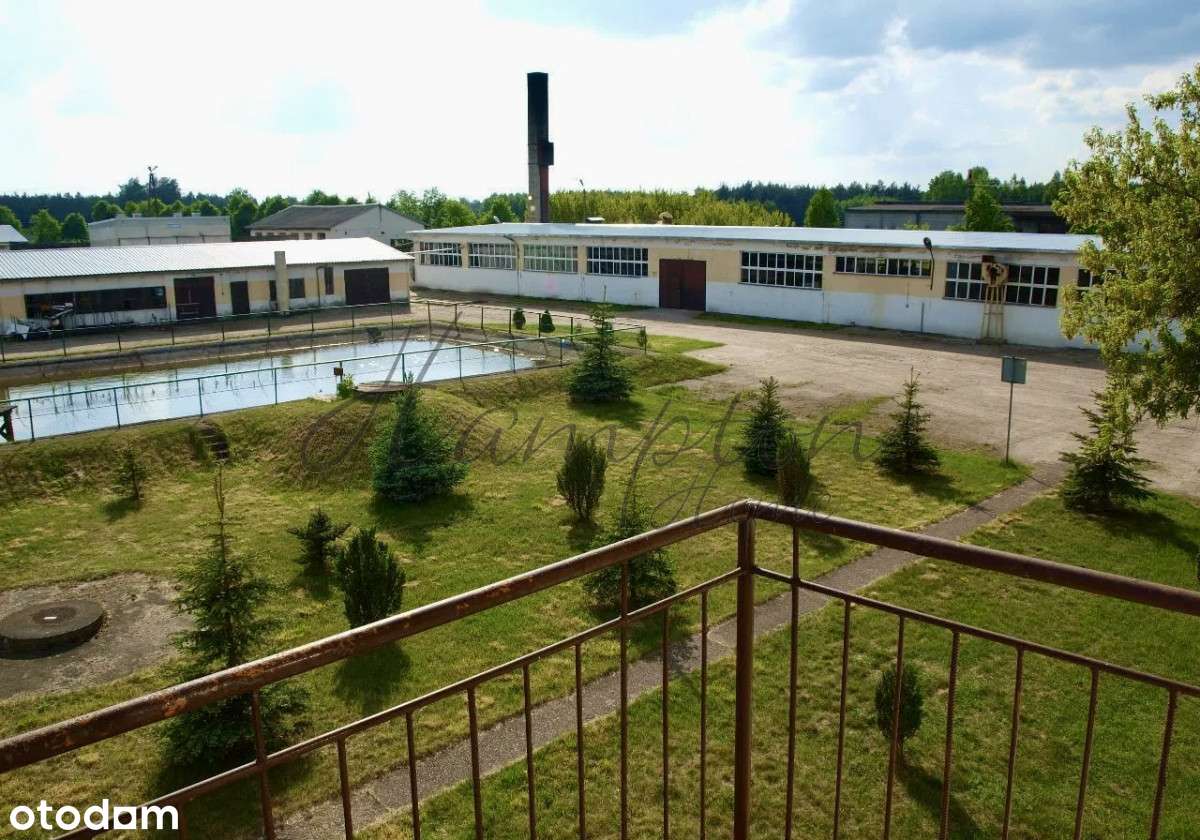 Hale z magazynami, linią produkcyjną-5