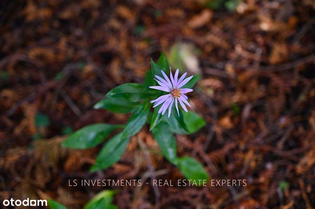 Dwurodzinny dom bliski sercu miasta! Zabobrze ***-4