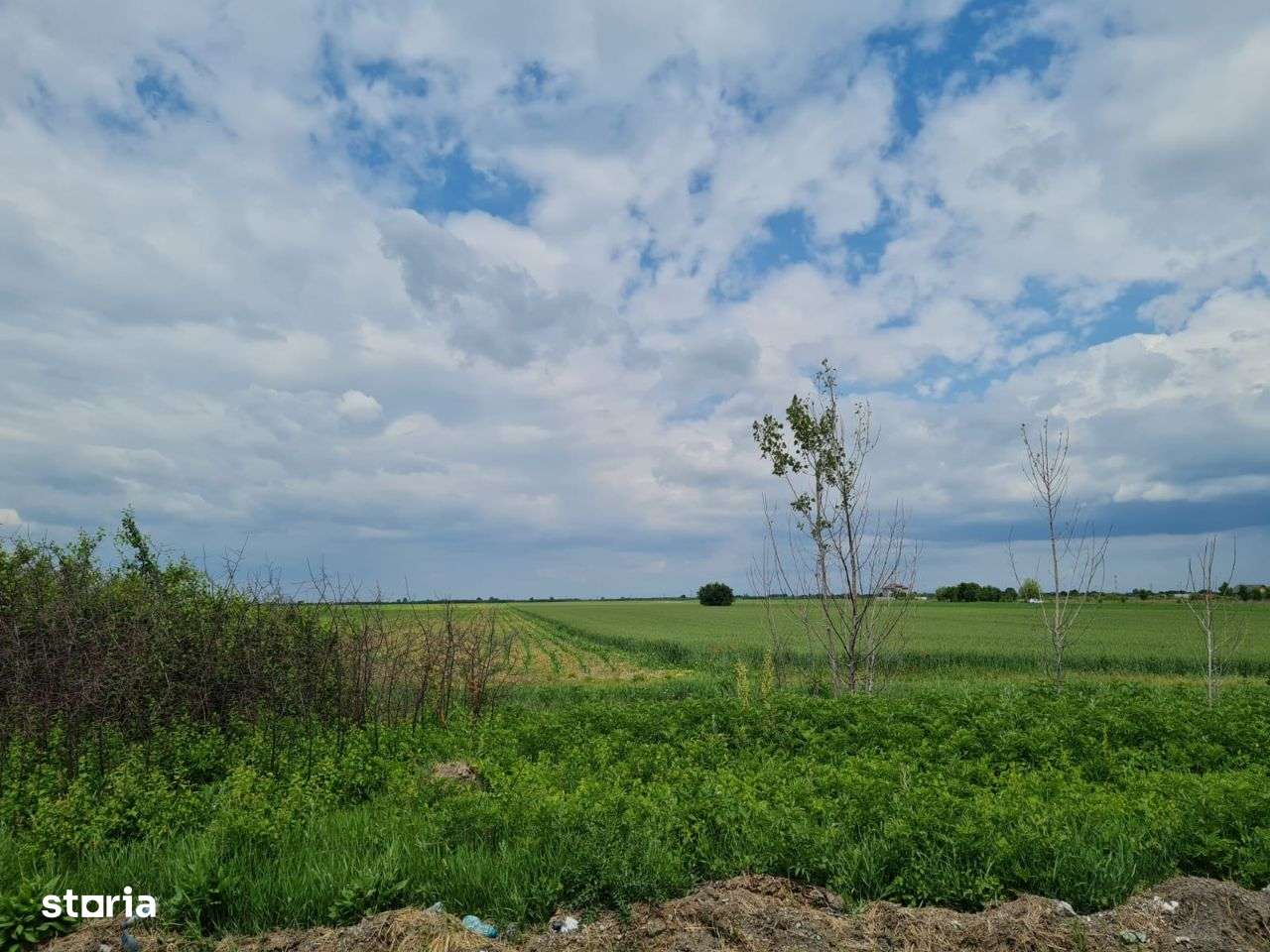 Teren Tartasesti - Brezoaie , deschidere generoasa la sosea-3