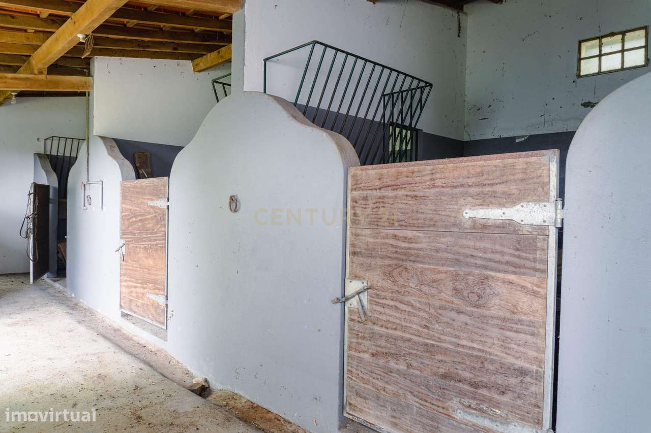 Quintinha em Alenquer com Excelente Potencial – 5,8 Hectares-11
