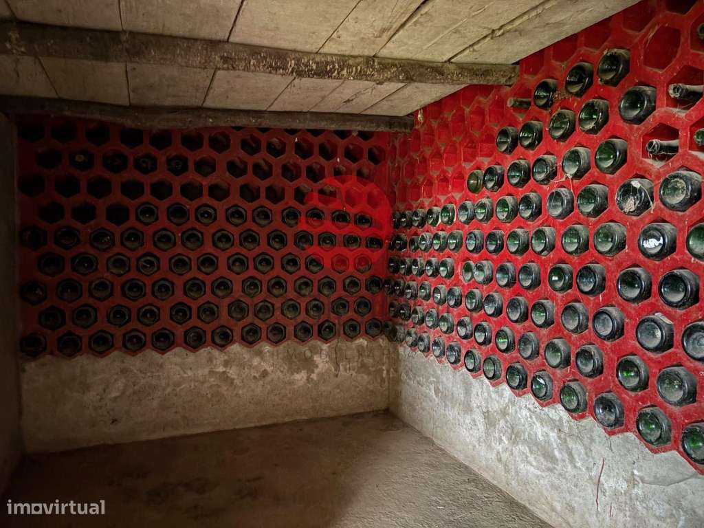 Moradia Bi-Familiar T8 Venda Moimenta da Beira-43