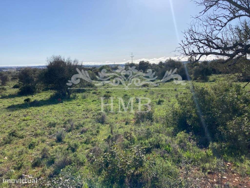 Terreno Rústico com 20701 m2 Próximo à Vila de Mexilhoeira-10