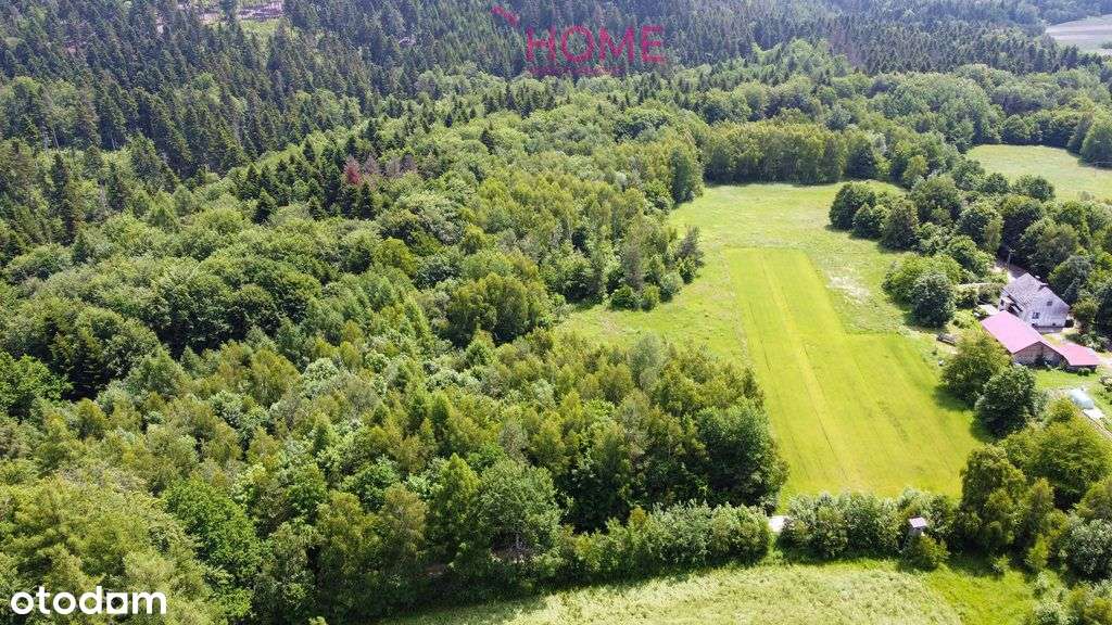 Ostatnia z 5 działek na sprzedaż przy lesie- Lecka - Pełny obrazek: 3/9