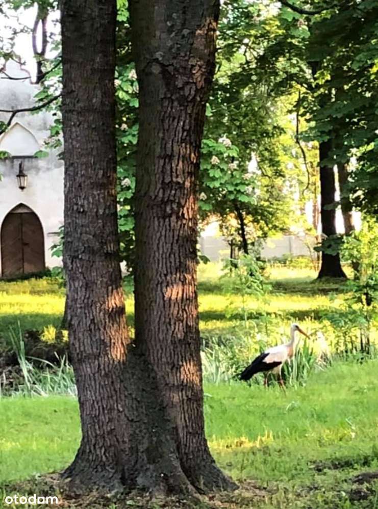 Pałac,w którym można się zakochać-5