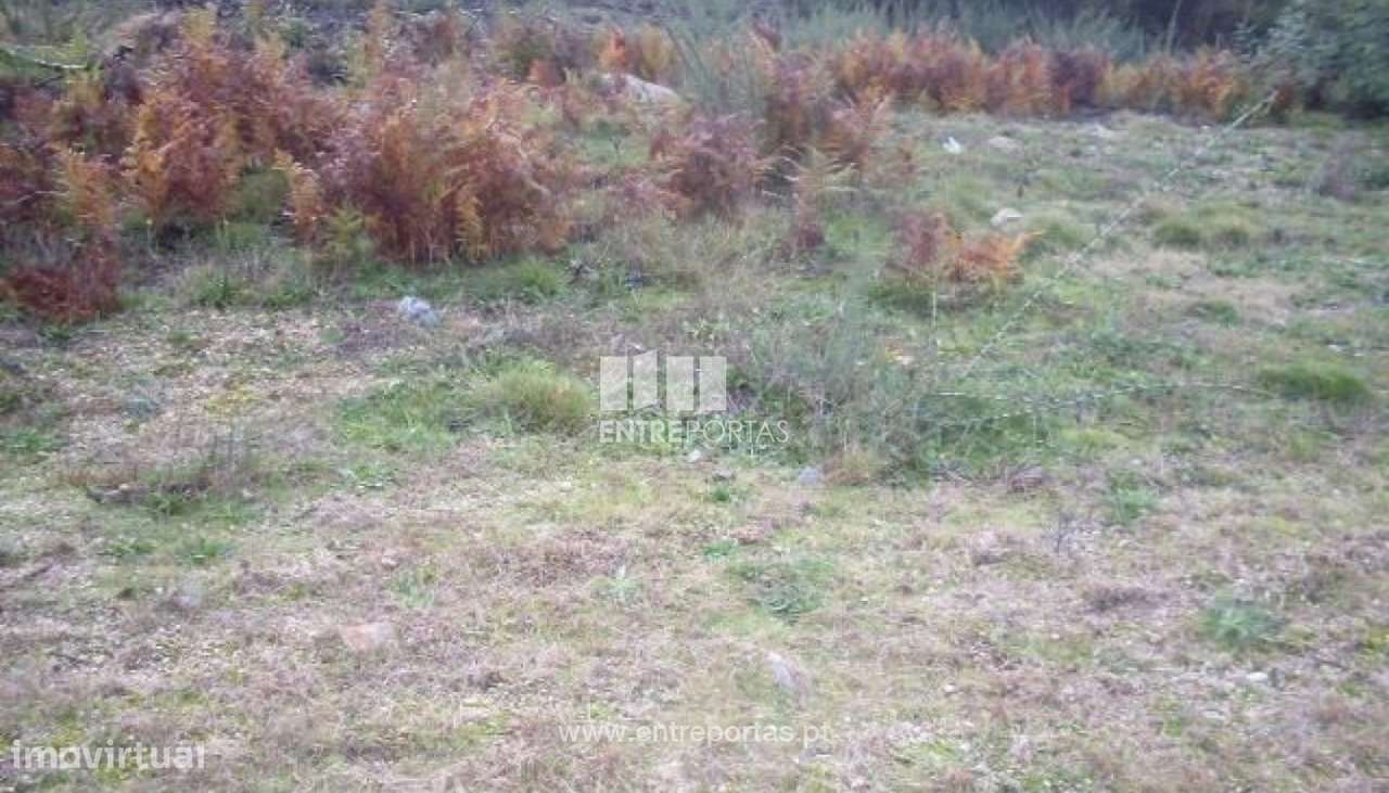 Venda Lote, Grilo, Baião - Grande imagem: 3/24