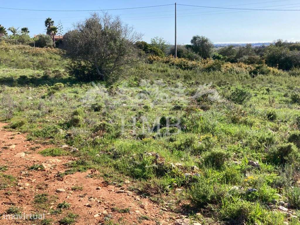 Terreno Rústico com 20701 m2 Próximo à Vila de Mexilhoeira-5