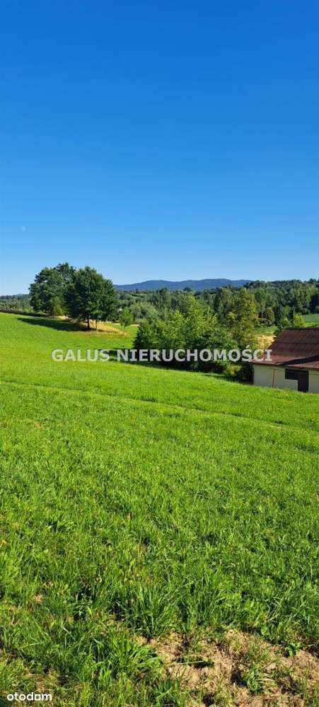 Działka rolna 2,5200 Ha i gospodarstwo-14
