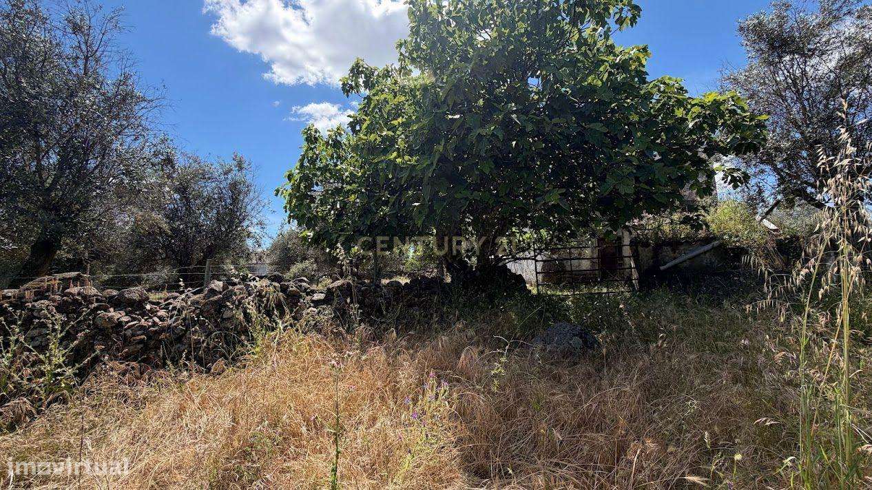 2 Moradias para recuperação - Flor da Rosa - Crato - Alentejo-7