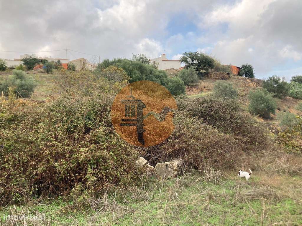 TERRENO RUSTICO COM 760 M2 - COM POÇO - EM ALTA MORA - ODELEITE - C... - Grande imagem: 4/27