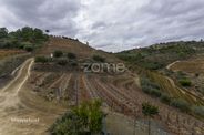 Quinta em pleno coração do Douro Vinhateiro - Miniatura: 29/55