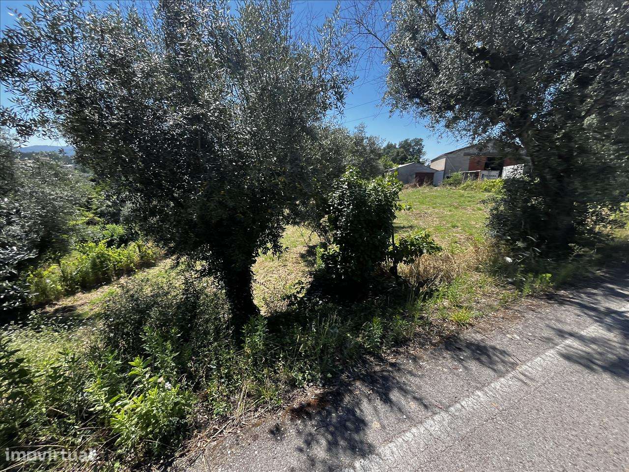 Terreno para Venda - Arrifana, Vila Nova de Poiares-10