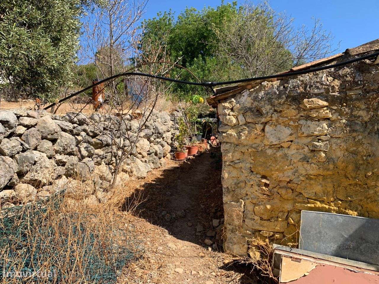 Terreno Urbano, com 3 artigos, Colmeal-54