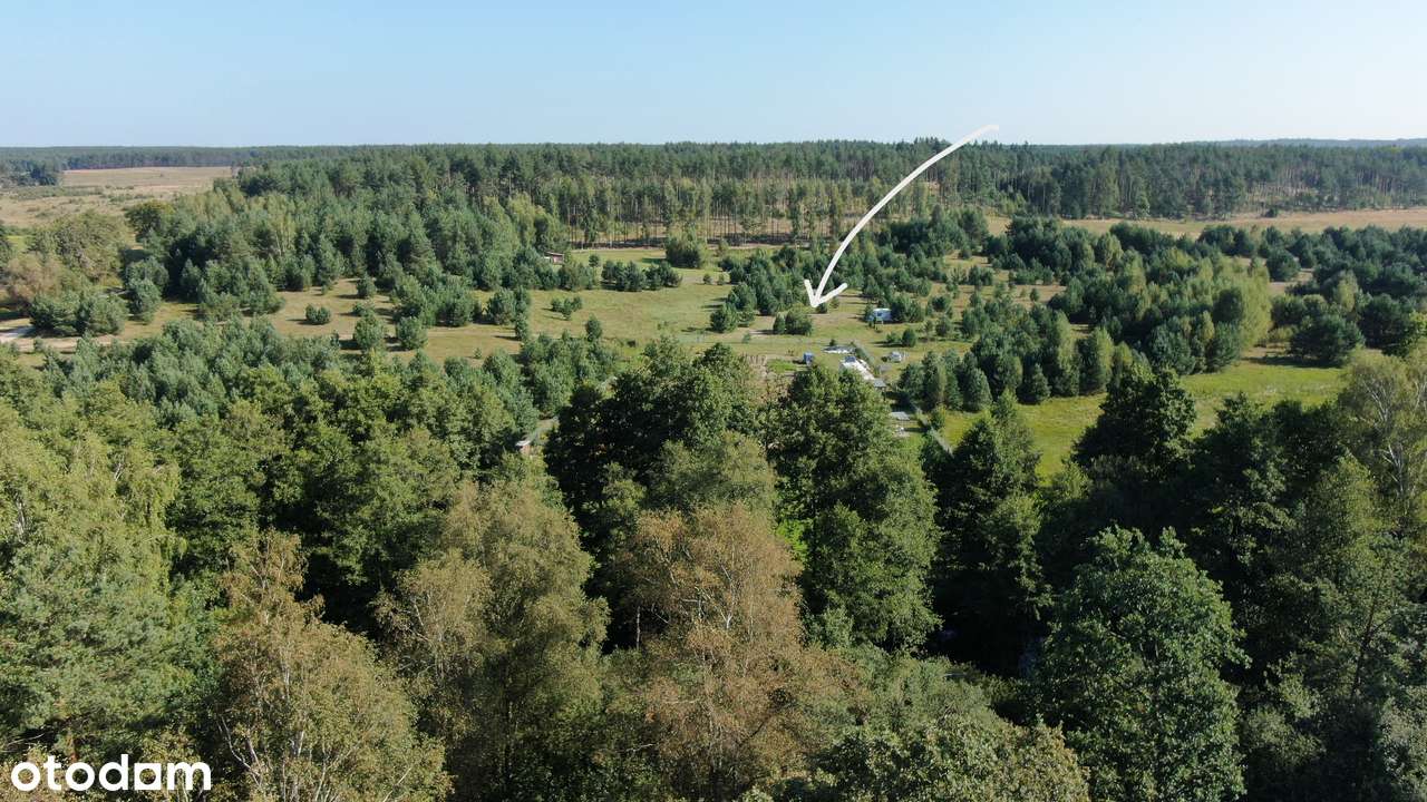 Łubiana | siedlisko i agroturystyka | otulina Wdzydzkiego Parku-9