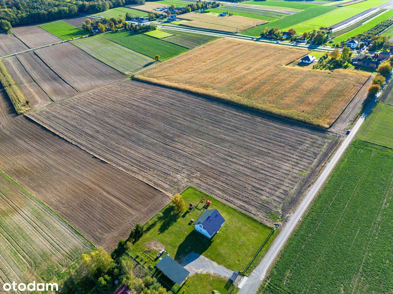 Działka rolno-budowlana, 3000m², Piotrków-Kolonia, gm. Jabłonna - Pełny obrazek: 4/7