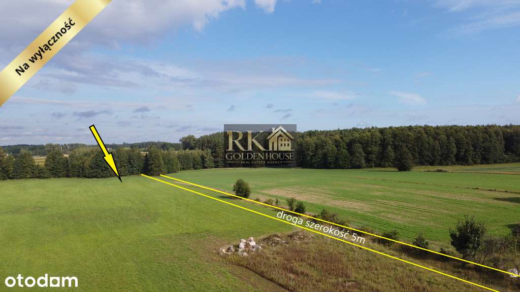 Działka pod lasem- idealne miejsce na budowę domu - Pełny obrazek: 4/7