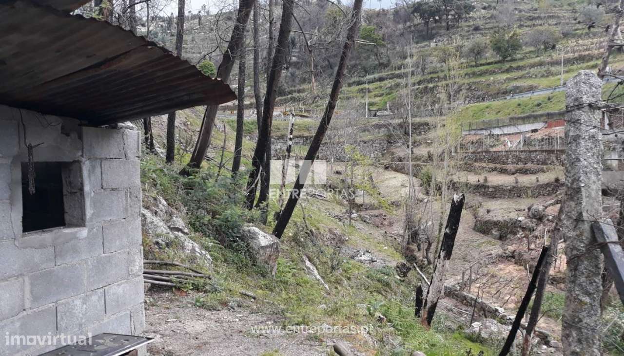Venda Terreno, confronta ribeiro, São Tomé de Covelas, Baião - Grande imagem: 5/10